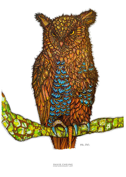 Mr Owl